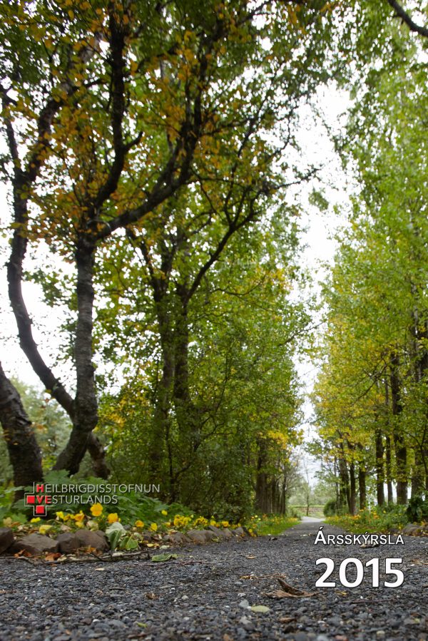 Ársskýrsla HVE fyrir árið 2015 komin út